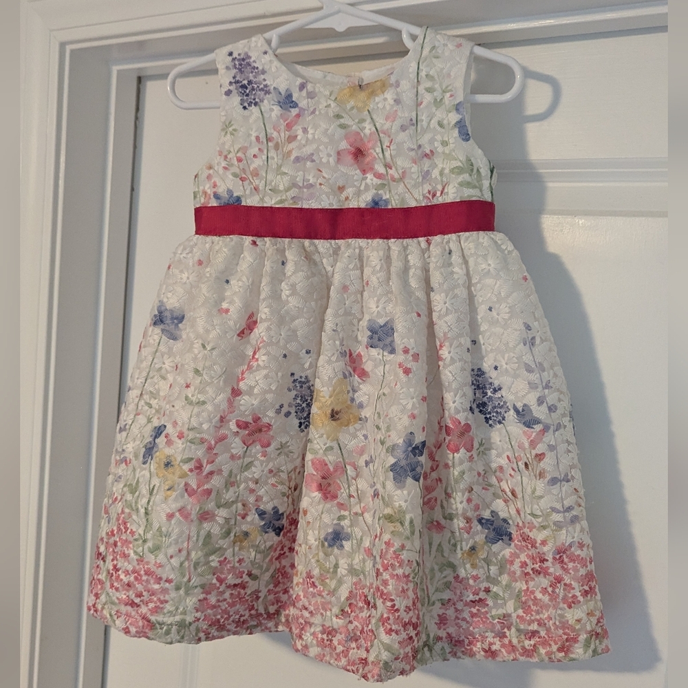 Blueberi Girls Floral Embroidered Dress